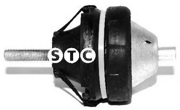 STC T405135