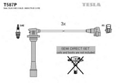 TESLA T587P