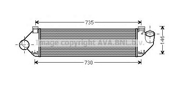 Ava FDA4438