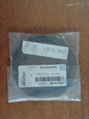 ZF 0734319459