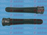 Seinsa Autofren D5035