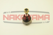 NAKAYAMA K * * * 7