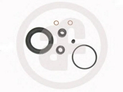 Seinsa Autofren D41231