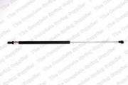 Lesjofors 8066702 ГАЗОВЫЙ УПОР