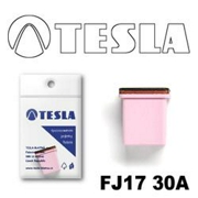 TESLA F * * * A