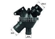 Mahle/Knecht TM25108