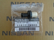 NISSAN 118100M300