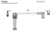 TESLA T * * * G