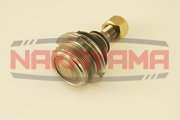 NAKAYAMA K10009