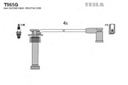 TESLA T * * * G