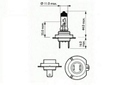 SCT 202136