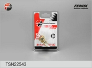 FENOX TSN22543