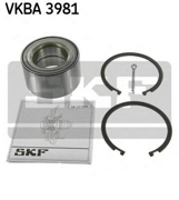 Skf VKBA3981