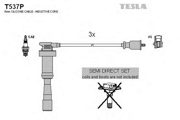 TESLA T * * * P