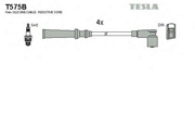 TESLA T * * * B