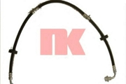 Nk 855209