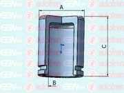 Seinsa Autofren D025434