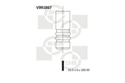 Bga V991867