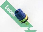 Lucas S * * * 9