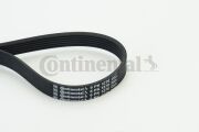 Continental 6 * * * 0