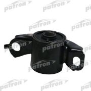 PATRON PSE11074