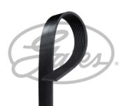 Gates 8PK1565HD