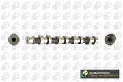 Bga CS1454