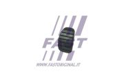 FAST FT13077