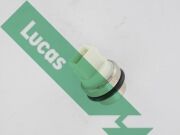 Lucas S * * * 3