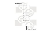 Bga V016719