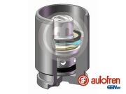 Seinsa Autofren D02594K