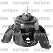 PATRON PSE30376