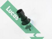 Lucas SOB709