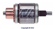 WAI 618313