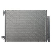 Delphi CF20292