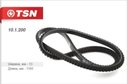 TSN 101200