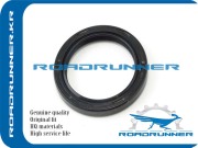 ROADRUNNER RRMD168055