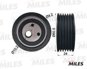 Miles AG03042