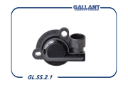 Gallant GLSS21