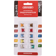 Skyway S09302009 Предохранитель флажковый MICRO набор  10шт 5-30А блистер SKYWAY