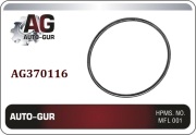 Auto-GUR AG370116