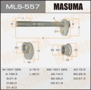 Masuma M * * * 7