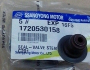 SSANG YONG 1720530158