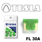 TESLA FL30A10