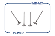 Gallant GLEP65