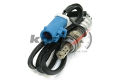 KORTEX KLP081