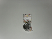 Quartz QZ0211784