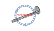 TORQUE CP021