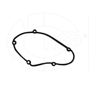 NSP N * * * C