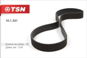 TSN 101341
